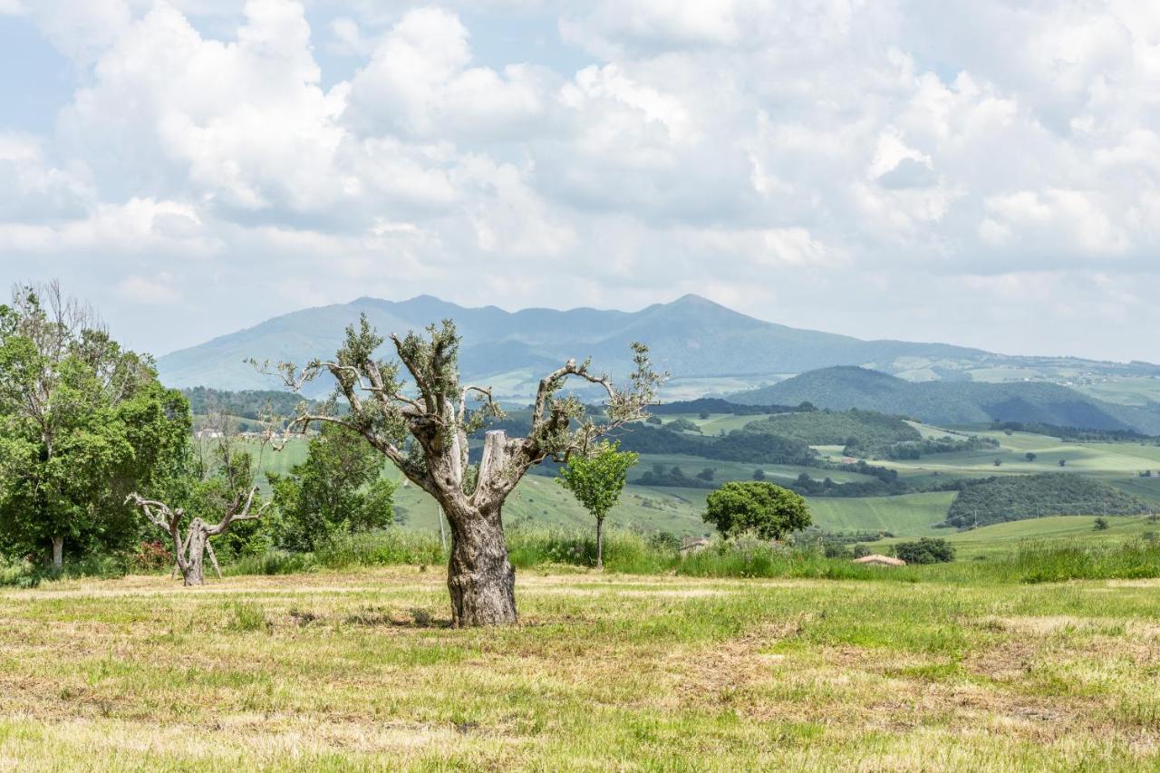 Dimora Schioppo - Irpinia Lägenhet Calitri Exteriör bild