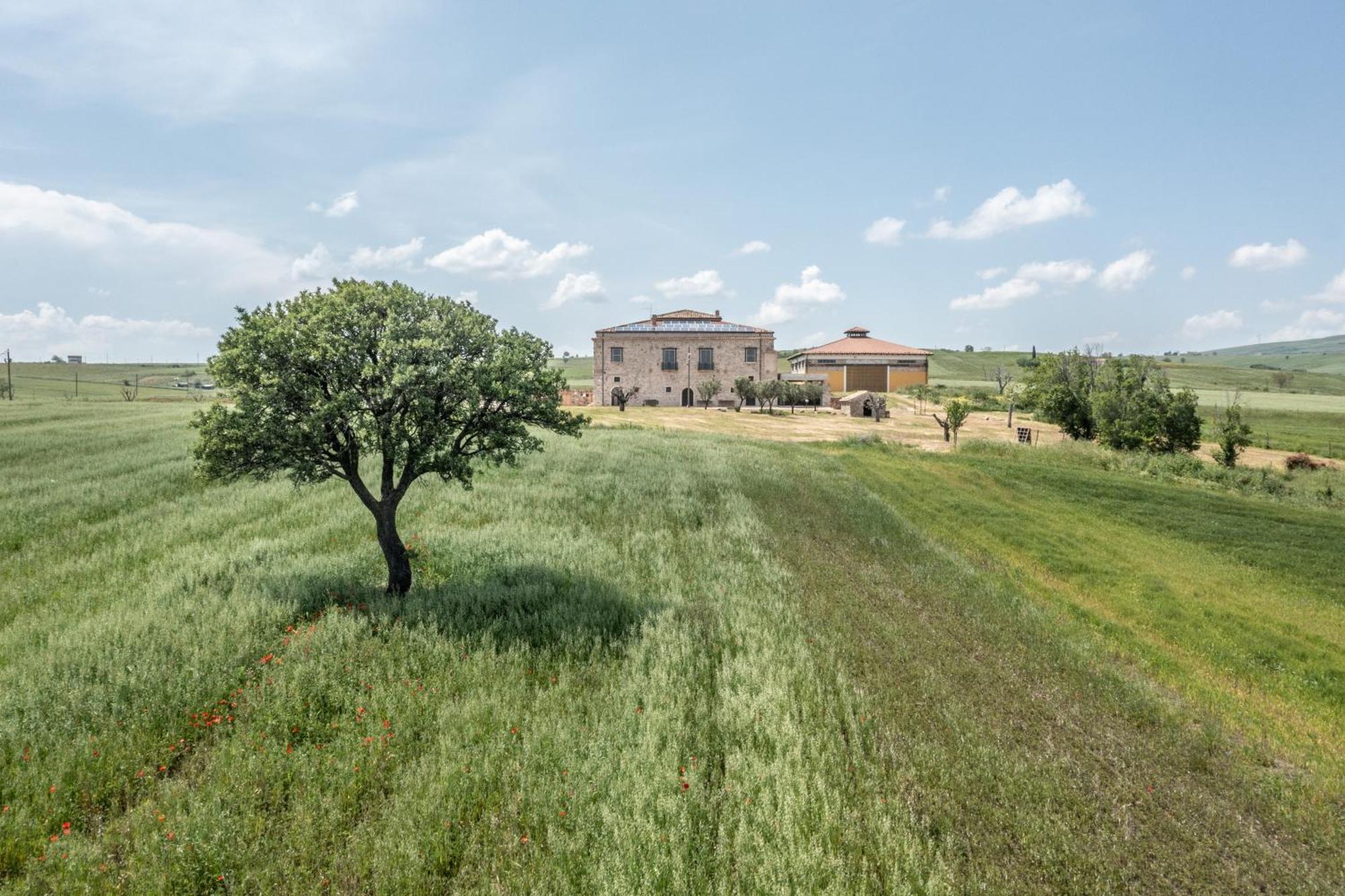 Dimora Schioppo - Irpinia Lägenhet Calitri Exteriör bild