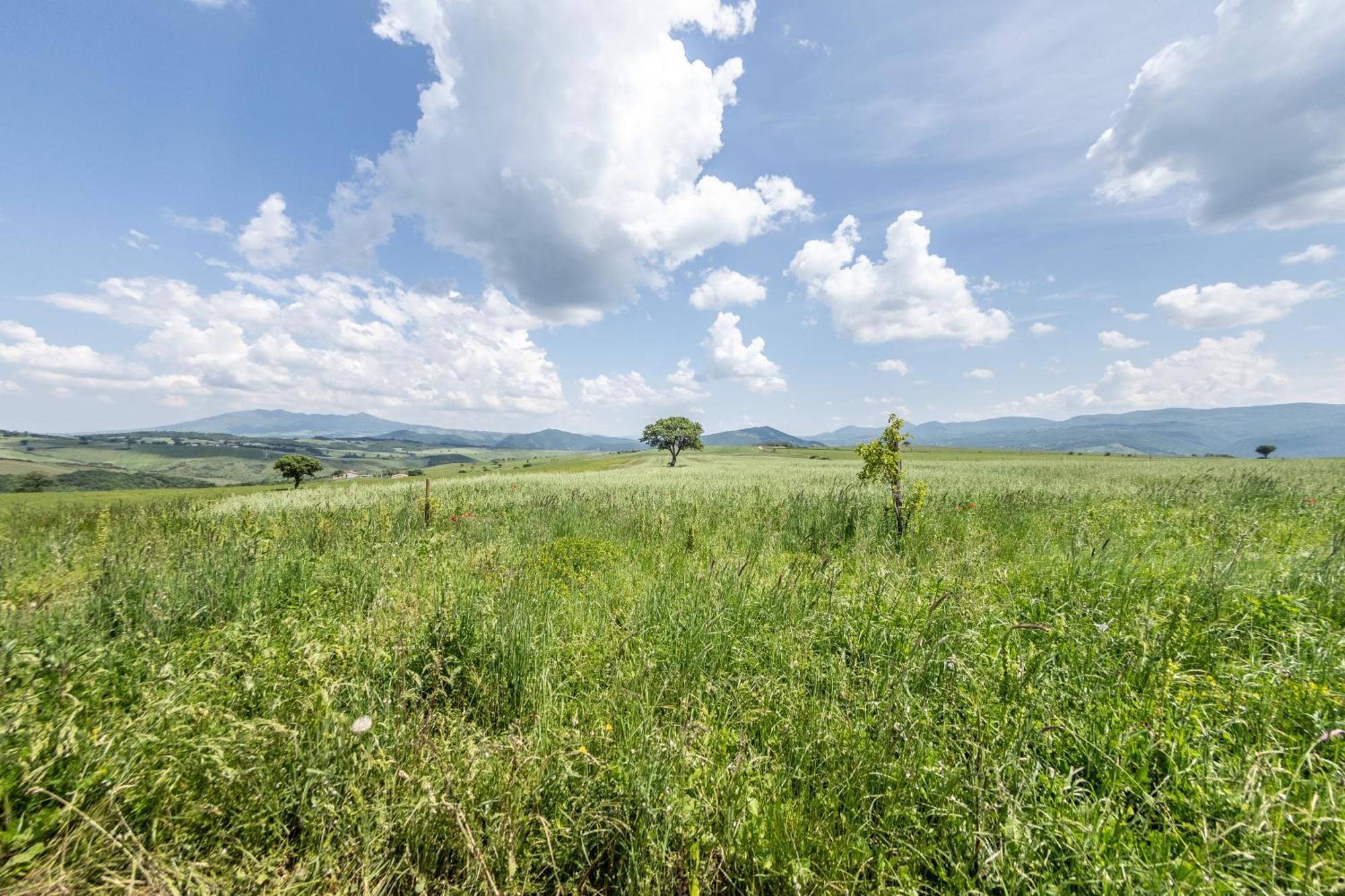 Dimora Schioppo - Irpinia Lägenhet Calitri Exteriör bild